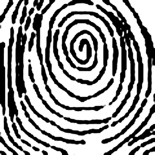  Chủng vân tay Spiral Whorl – WS