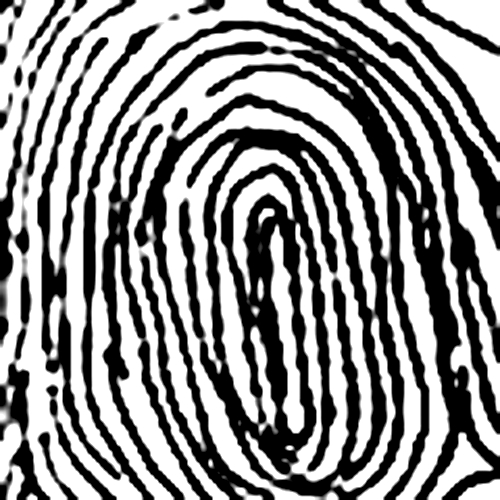 Chủng vân tay Press Whorl – WP