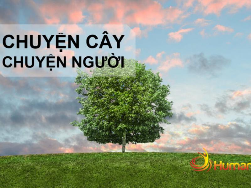 Chuyện cây chuyện người